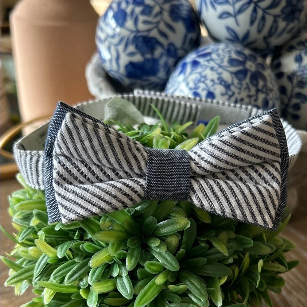 Gymboree Navy and White Striped Kids Bow Tie